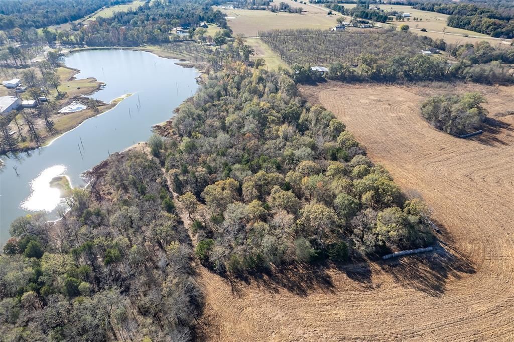 320 County Road 2160, Emory, TX 75440 Main Photo