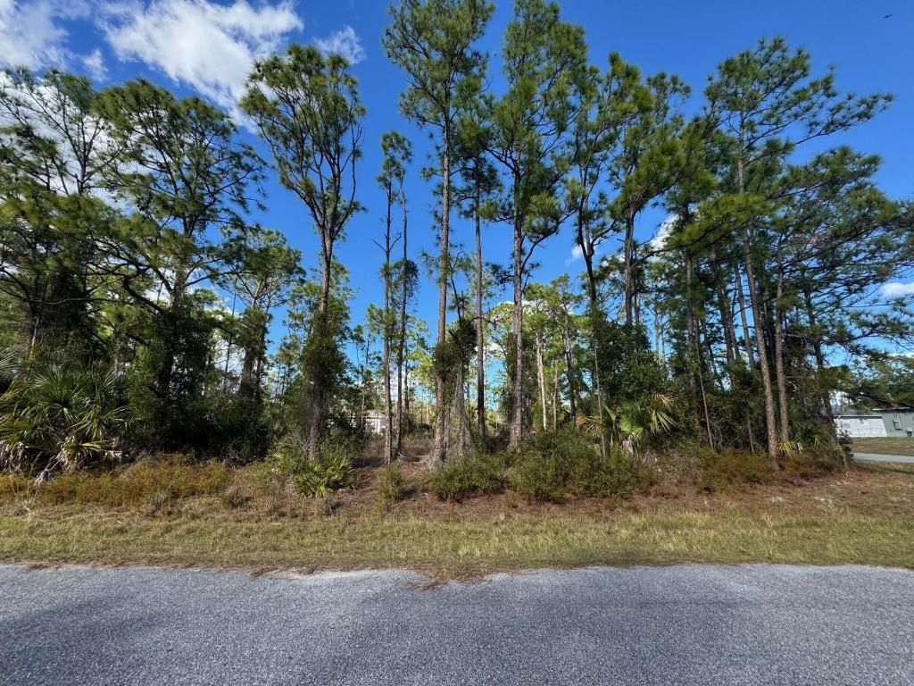 Tba Sturrup Street, North Port, FL 34291 Photo