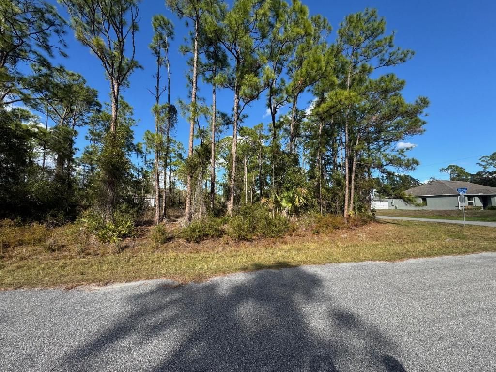 Tba Sturrup Street, North Port, FL 34291 Photo