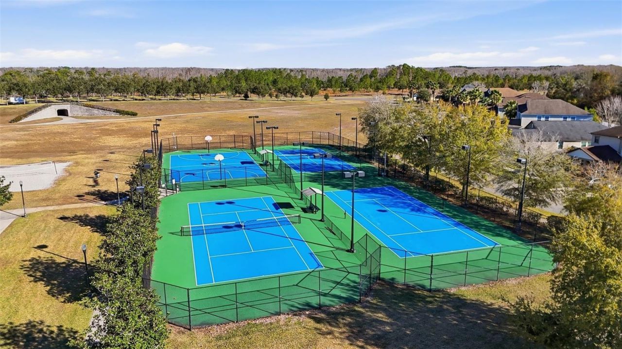 21813 Briske Morning Avenue, Land O Lakes, FL 34637 Photo