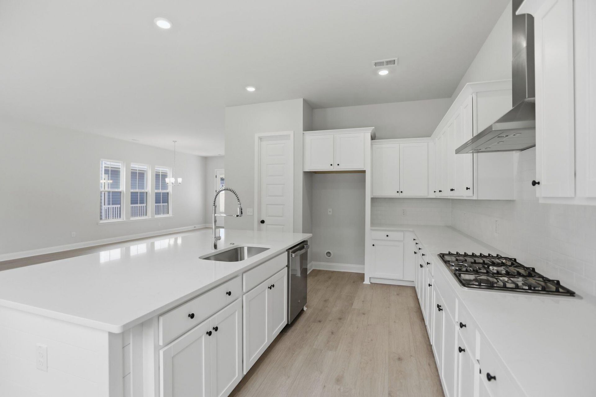 195 Threaded Fern Street Photo 11