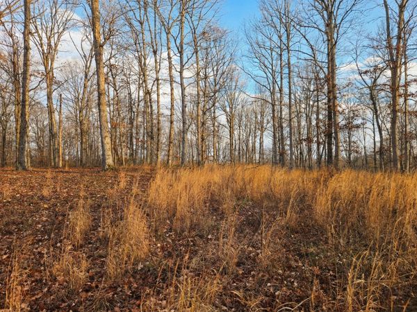 0 Havenwood Rd, Unit 37&38, Mc Ewen, TN 37101