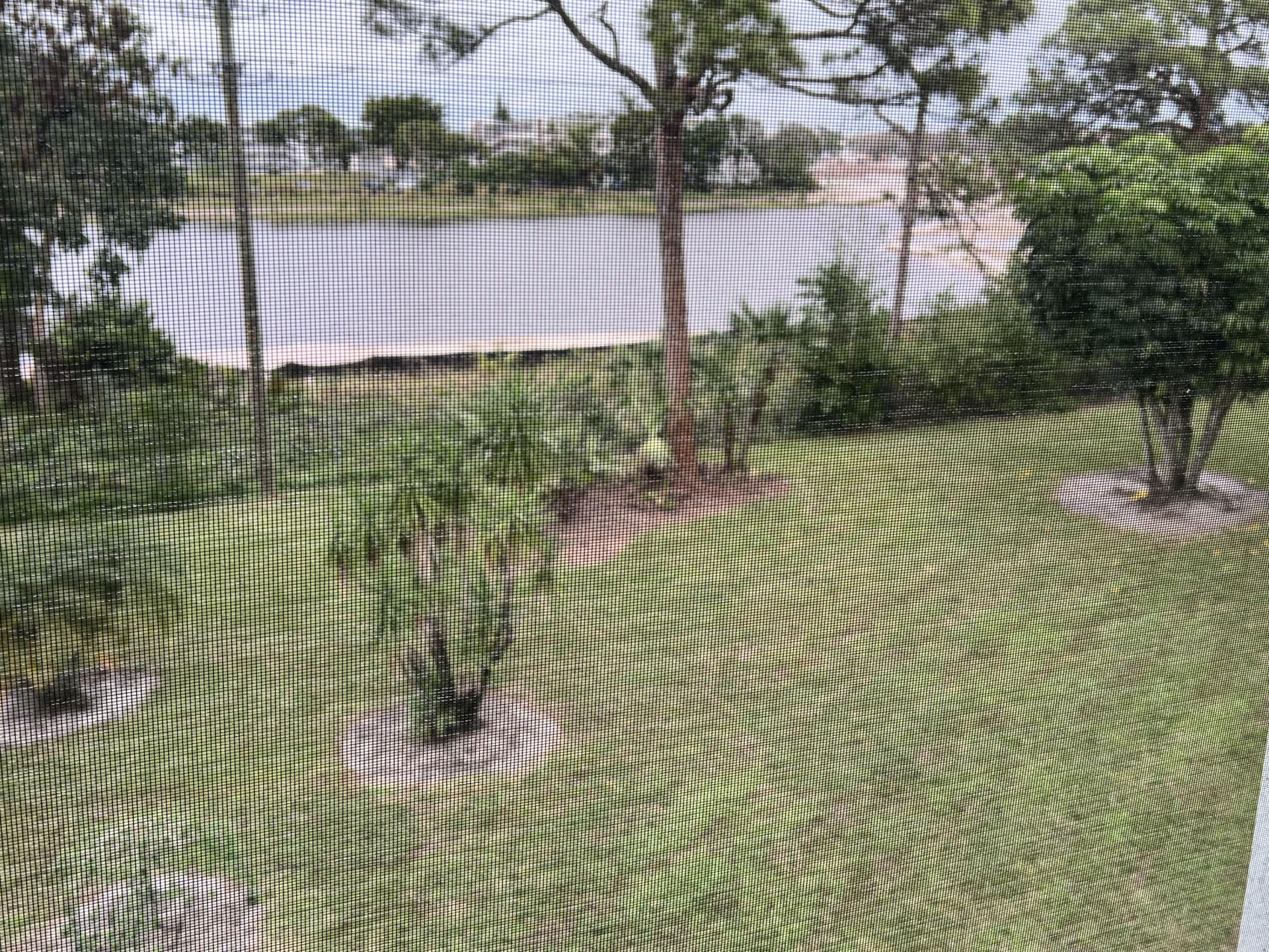 334 Southampton B, West Palm Beach, FL 33417 Photo