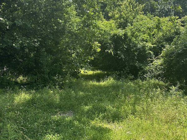 585 Berryville Road, Jonesboro, IL 62952