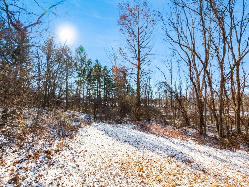 7252 Africa Road, Galena, OH 43021 Photo 56