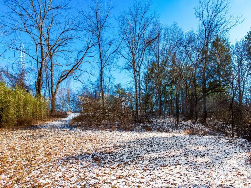 7252 Africa Road, Galena, OH 43021 Photo 57