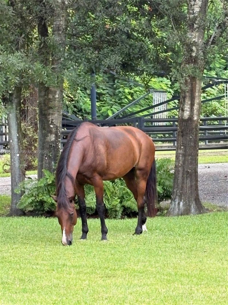 Please Call For Address, Loxahatchee, FL 33470 Photo