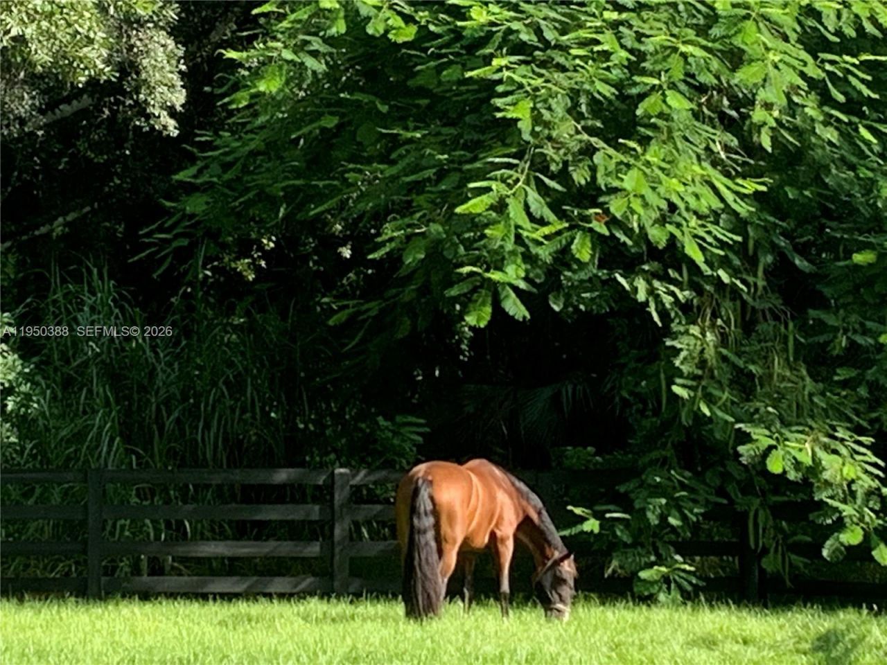 Please Call For Address, Loxahatchee, FL 33470 Photo