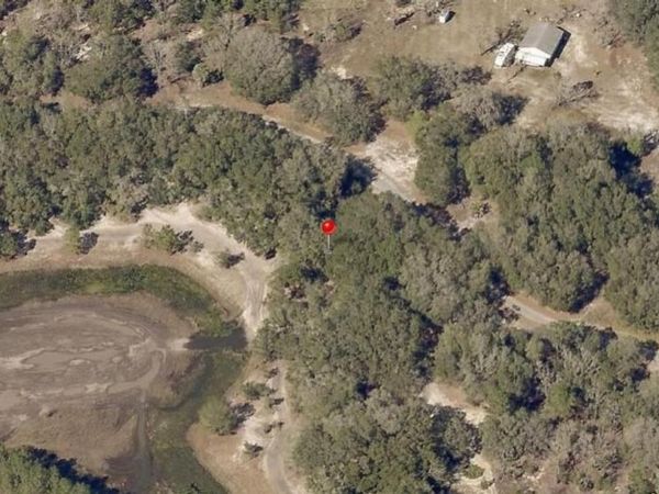 00 Malauka Radial Road, Ocklawaha, FL 32179
