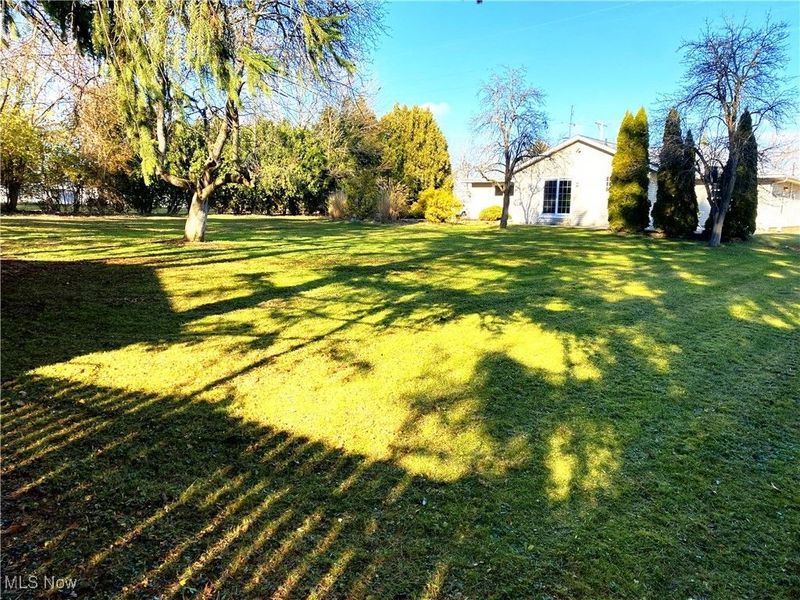 210 Highland Drive, Medina, OH 44256 Photo 4