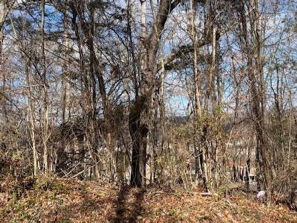 0 Crosby, Lot 10 Drive, Bean Station, TN 37708