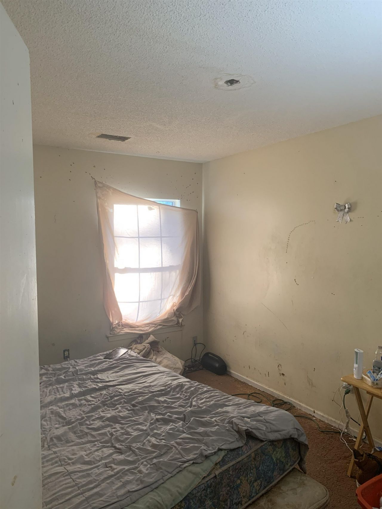 164 Springway Dr. Photo 4