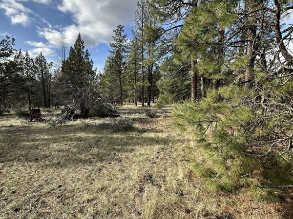0 Widgeon Drive, Unit Lot 3, Bonanza, OR 97623