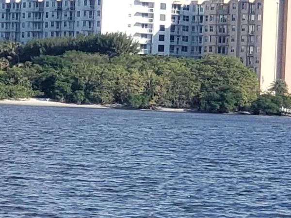 3450 S Ocean Boulevard, Unit 6230, Palm Beach, FL 33480