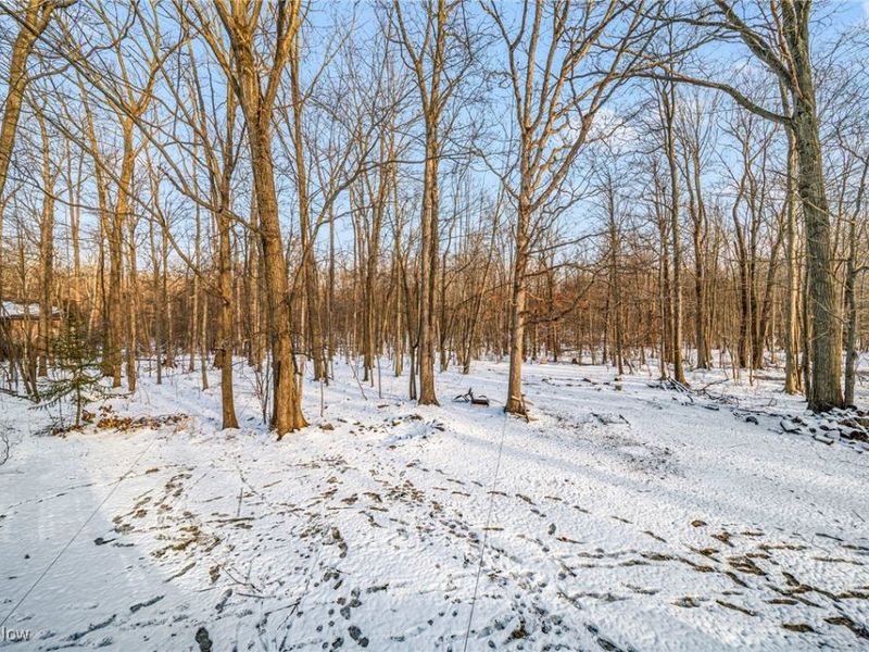 1990 Short Road, Thompson, OH 44086 Photo 15