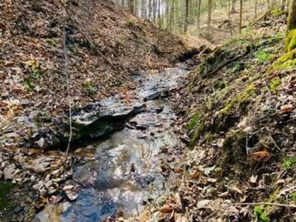 23584 Conrad Road, South Bloomingville, OH 43152