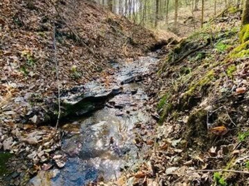 23584 Conrad Road, South Bloomingville, OH 43152 Photo 1