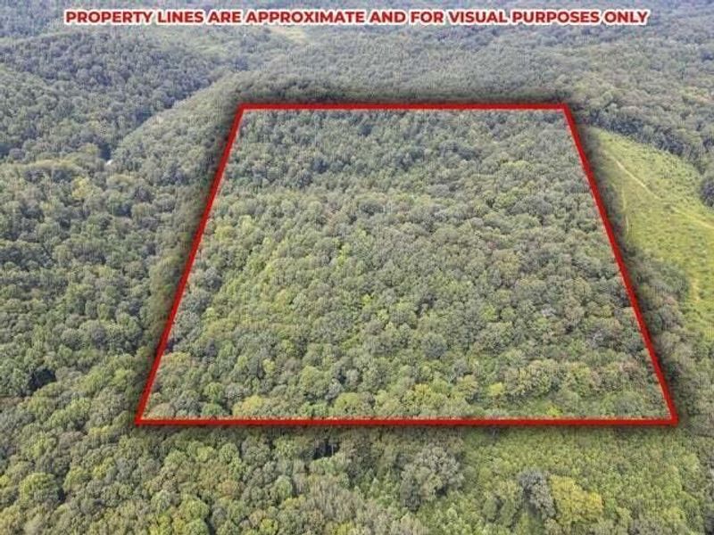 23584 Conrad Road, South Bloomingville, OH 43152 Photo 11