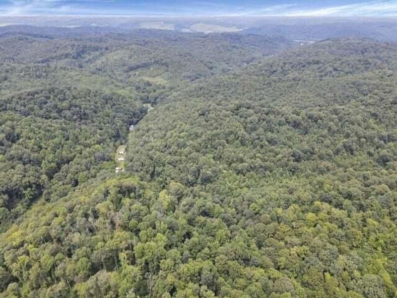 23584 Conrad Road, South Bloomingville, OH 43152 Photo 12