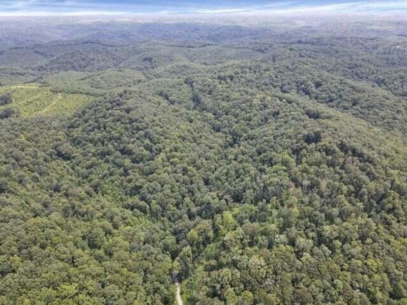 23584 Conrad Road, South Bloomingville, OH 43152 Photo 13