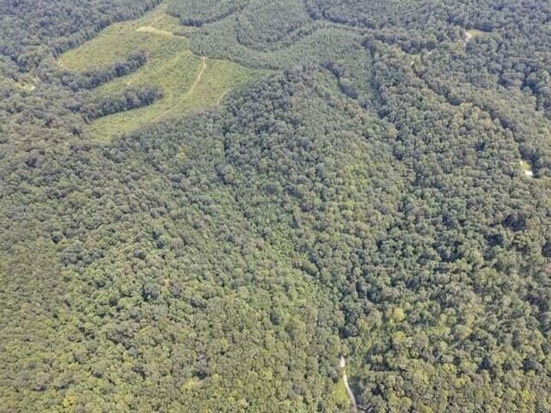 23584 Conrad Road, South Bloomingville, OH 43152 Photo 14