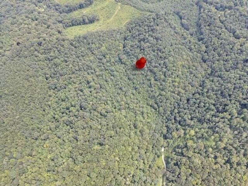 23584 Conrad Road, South Bloomingville, OH 43152 Photo 15