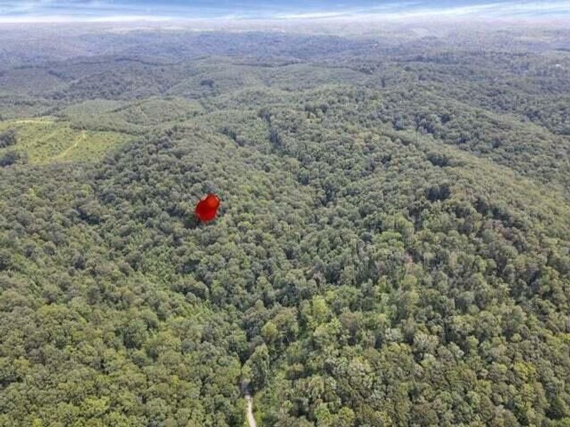 23584 Conrad Road, South Bloomingville, OH 43152 Photo 16