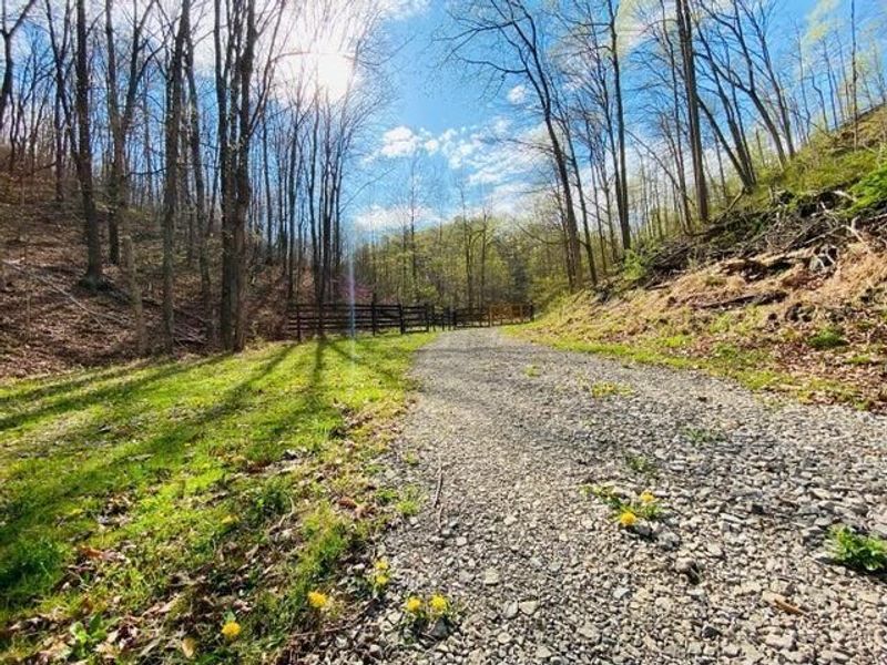 23584 Conrad Road, South Bloomingville, OH 43152 Photo 2