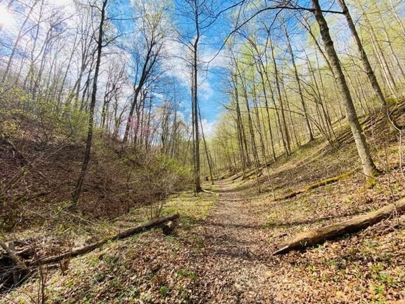 23584 Conrad Road, South Bloomingville, OH 43152 Photo 4