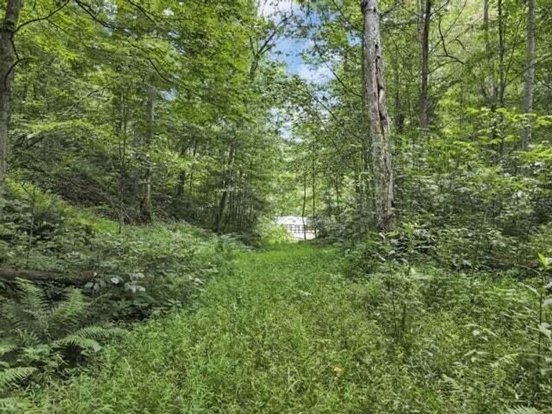 23584 Conrad Road, South Bloomingville, OH 43152 Photo 5