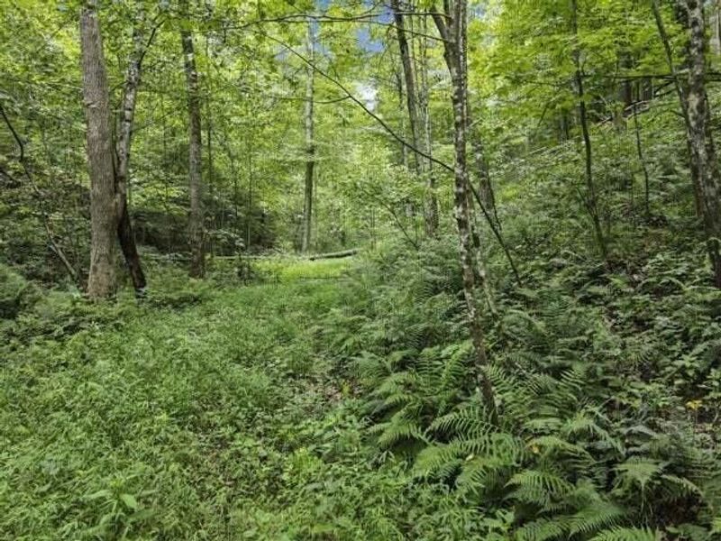 23584 Conrad Road, South Bloomingville, OH 43152 Photo 7