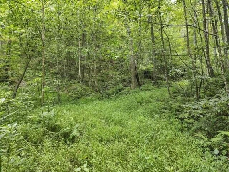 23584 Conrad Road, South Bloomingville, OH 43152 Photo 7