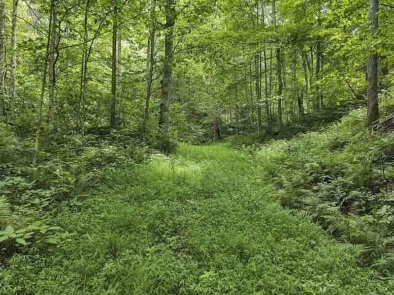 23584 Conrad Road, South Bloomingville, OH 43152 Photo 8