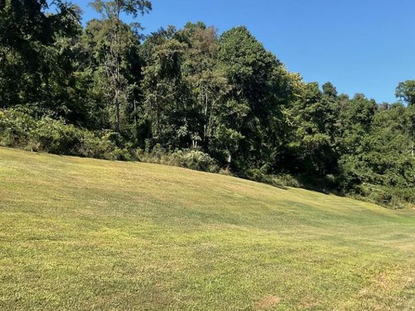 TBD McKim Creek, Ellenboro, WV 26346