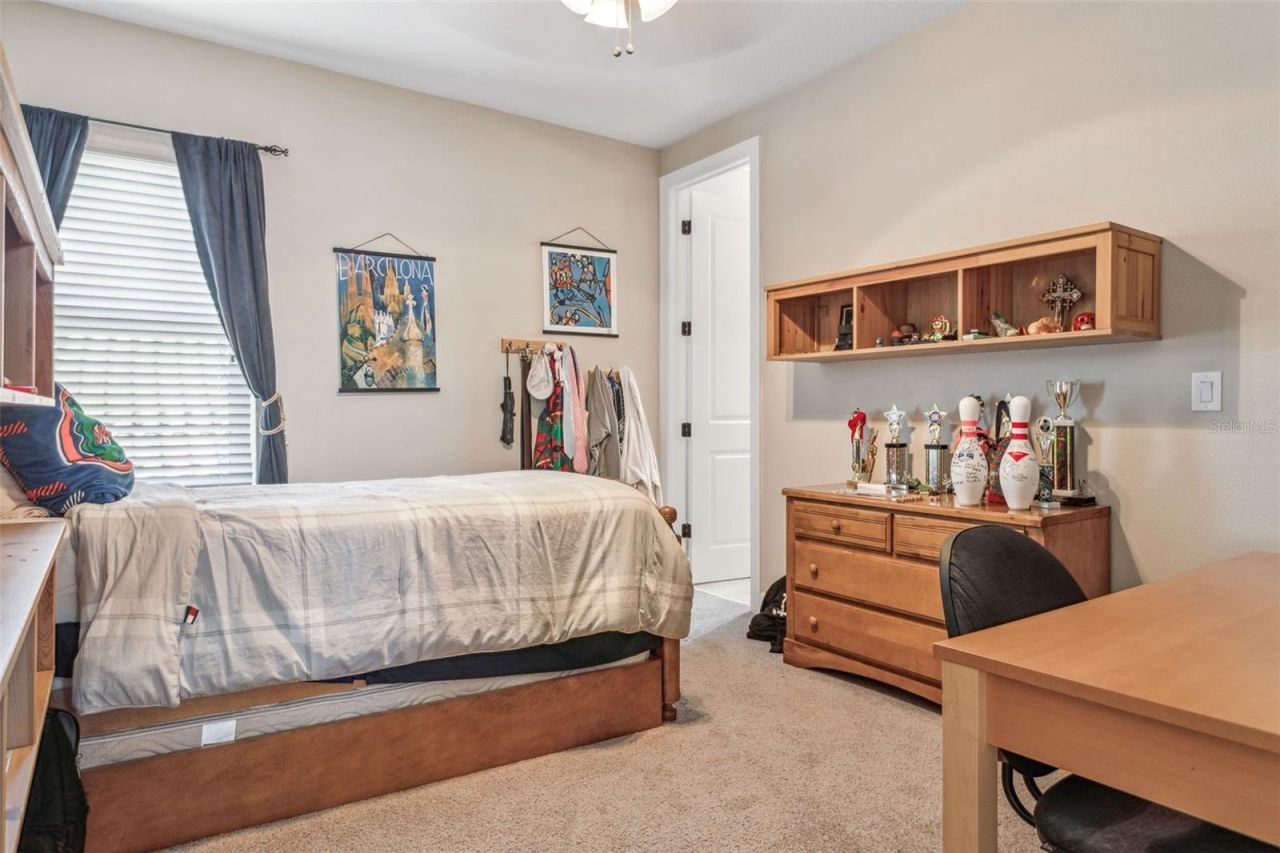 8530 Grand Alberato Road, Tampa, FL 33647 Photo