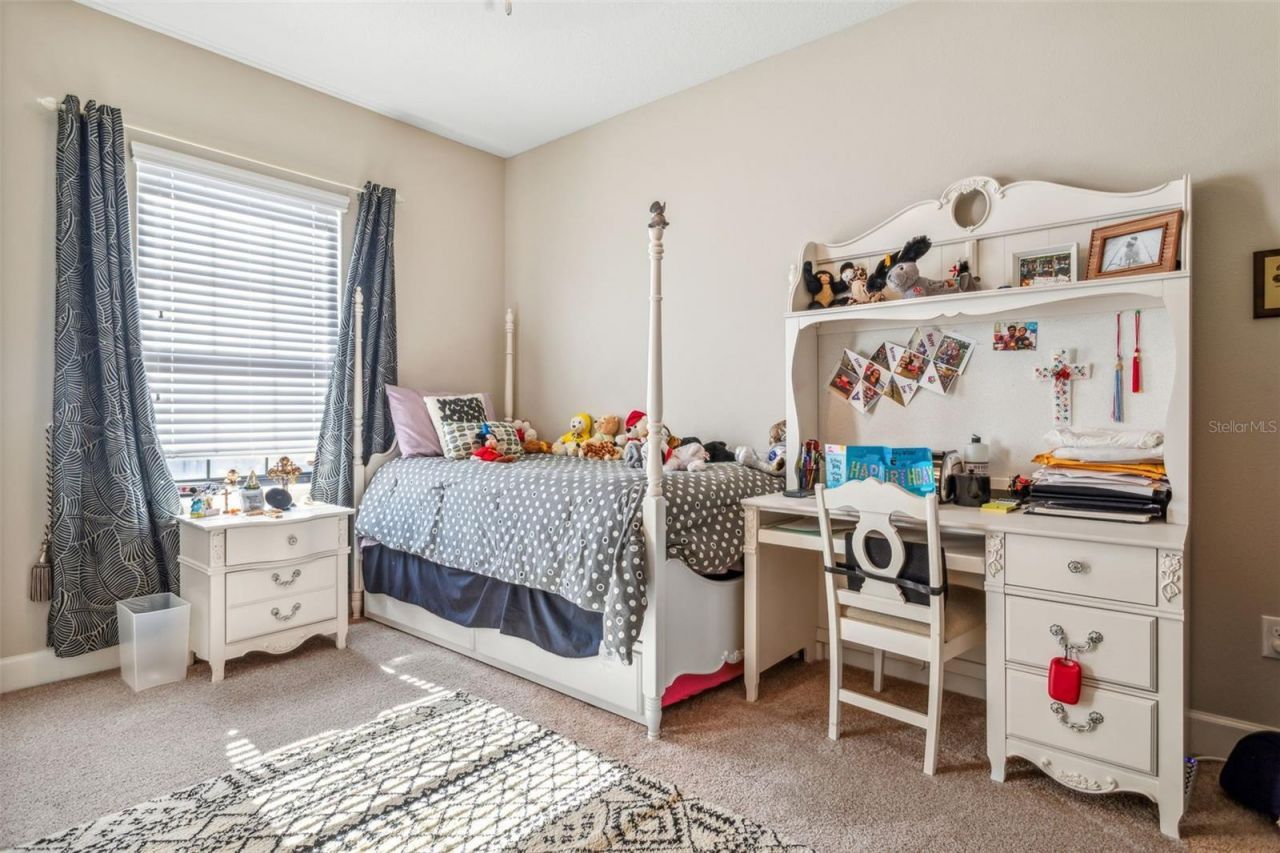 8530 Grand Alberato Road, Tampa, FL 33647 Photo