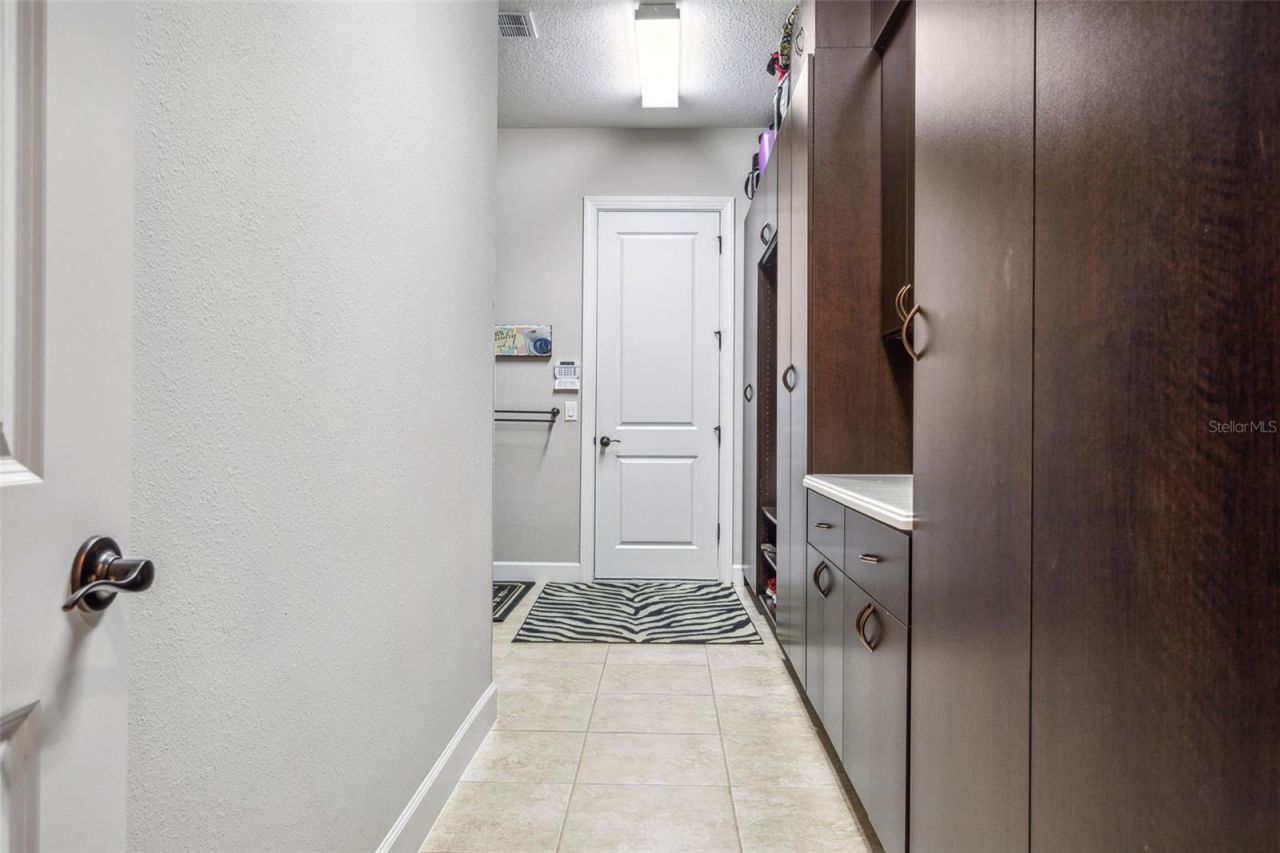 8530 Grand Alberato Road, Tampa, FL 33647 Photo