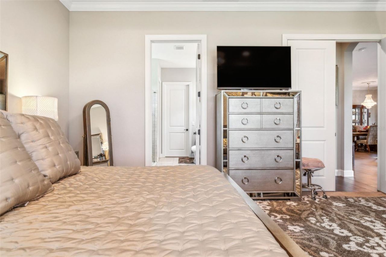 8530 Grand Alberato Road, Tampa, FL 33647 Photo