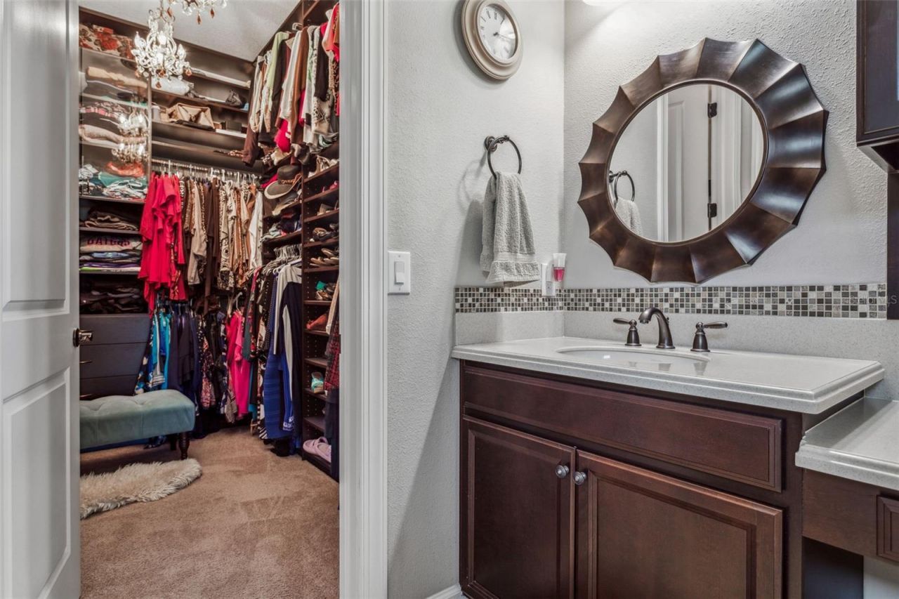 8530 Grand Alberato Road, Tampa, FL 33647 Photo