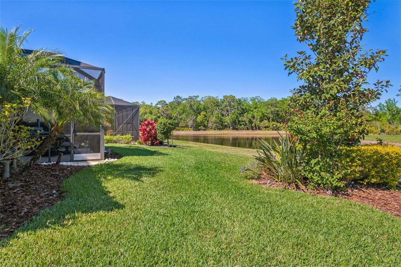 8530 Grand Alberato Road, Tampa, FL 33647 Photo