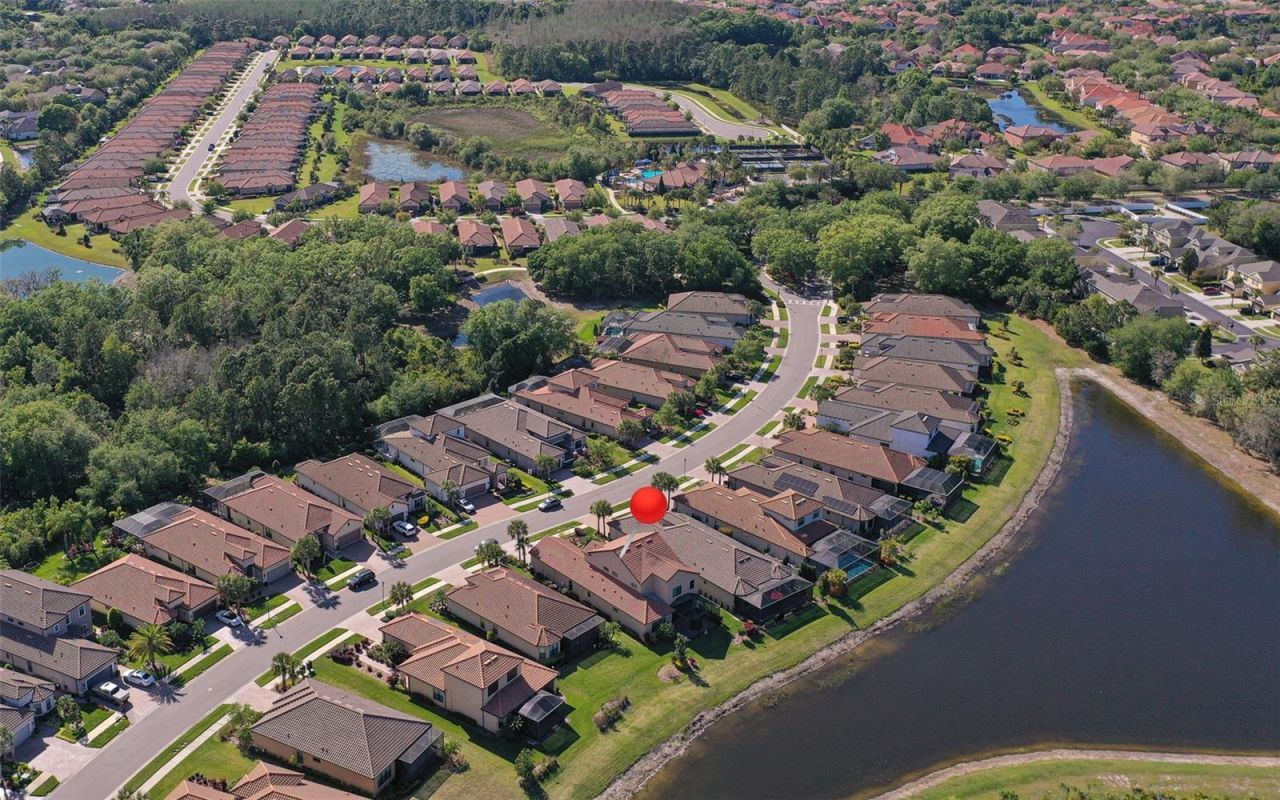 8530 Grand Alberato Road, Tampa, FL 33647 Photo