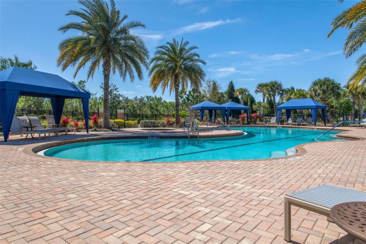 8530 Grand Alberato Road, Tampa, FL 33647 Photo