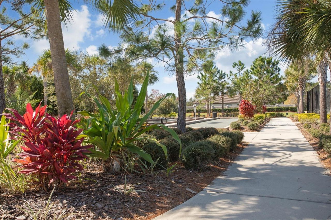 8530 Grand Alberato Road, Tampa, FL 33647 Photo