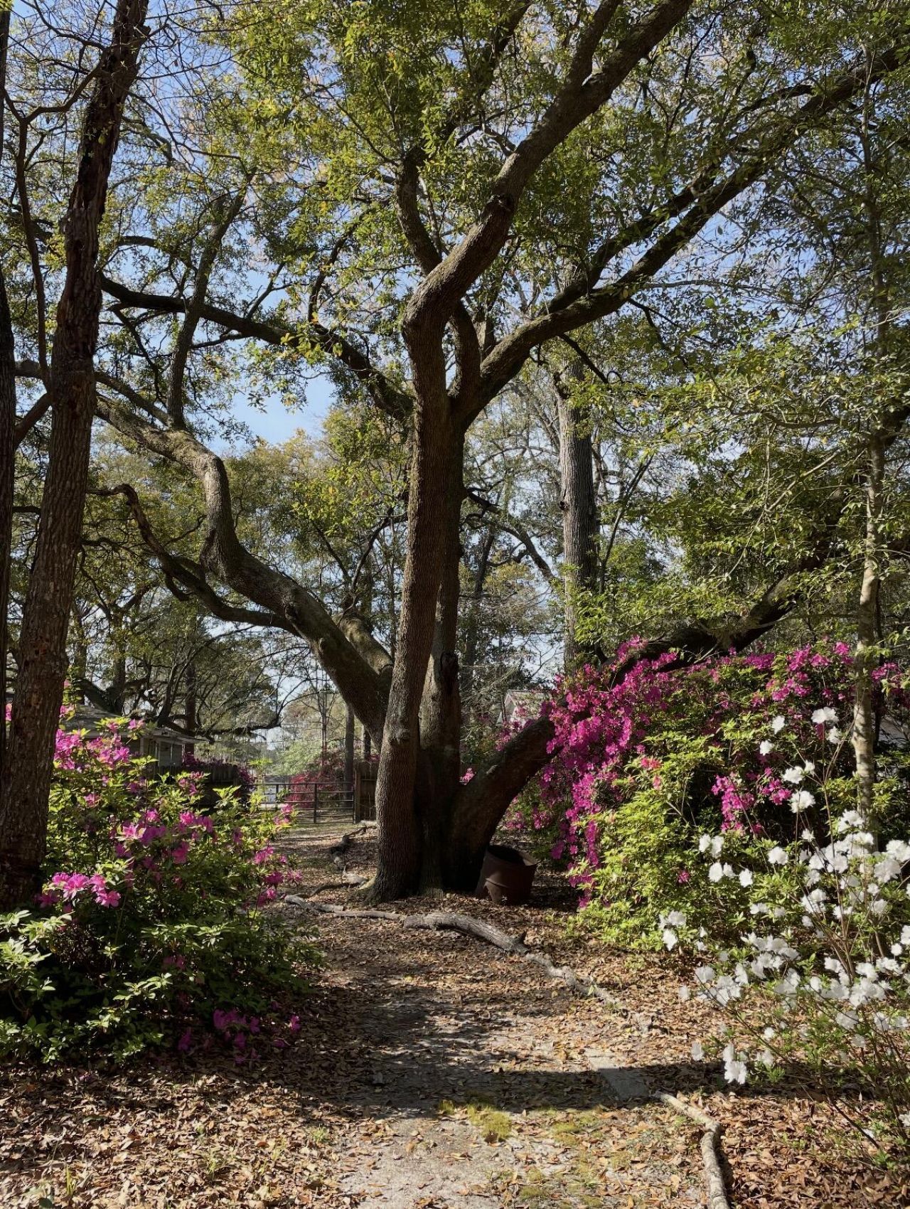 9658 Jamison Road Photo 30