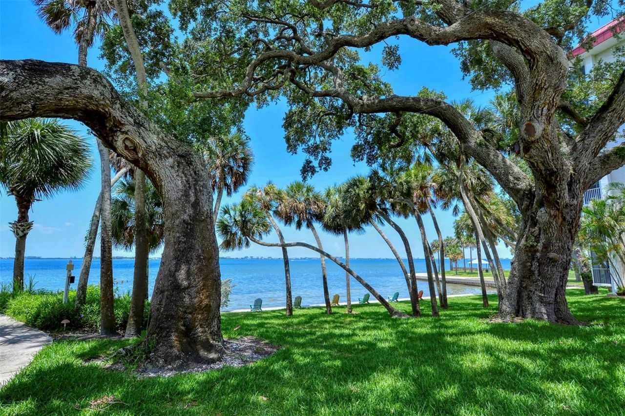 1100 Imperial Drive, Unit 608, Sarasota, FL 34236 Photo