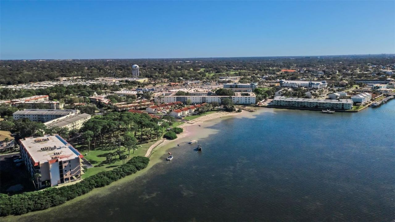 2700 Bayshore Boulevard, Unit 11-209, Dunedin, FL 34698 Main Photo