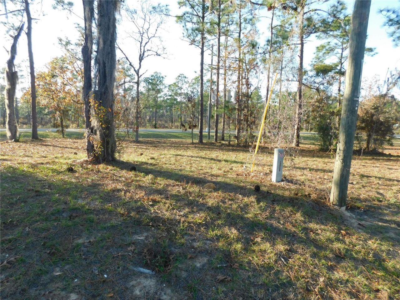 4932 E Eliza Court, Inverness, FL 34452 Photo