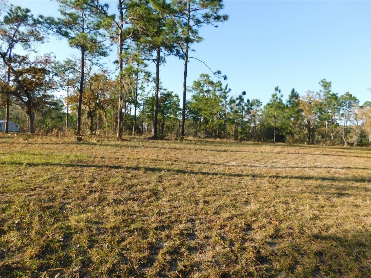 4932 E Eliza Court, Inverness, FL 34452 Photo