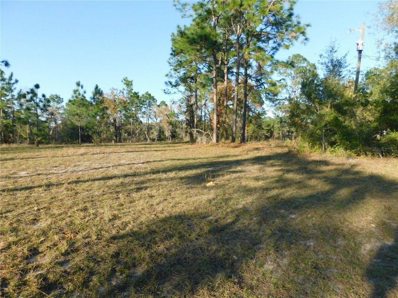 4932 E Eliza Court, Inverness, FL 34452 Photo