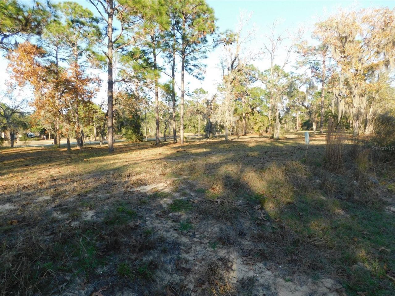 4932 E Eliza Court, Inverness, FL 34452 Photo